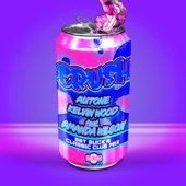 Crush (feat. Amanda Wilson) [Sgt Slick's Classic Remix] artwork