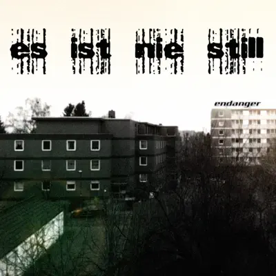 Es ist nie still - Single - Endanger