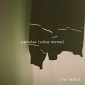 Tiny Habits - pennies (voice memo)