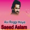 Ay Gal Akan Siyany - Saeed Aslam lyrics