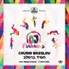 Chusid Breslov - חסיד ברסלב - Single album lyrics, reviews, download
