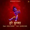 Stream & download HARE KRISHNA (feat. RAHUL SHARMA)