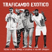 Traficando Exótico (feat. Leysong) artwork