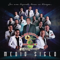 La Original Banda El Limon De Salvador Lizarraga - Sal de Mi Vida