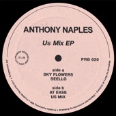 Anthony Naples - Sky Flowers