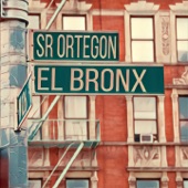 El Bronx artwork