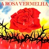 A Rosa Vermelha