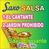 EL CANTANTE/ JARDIN PROHIBIDO - Single