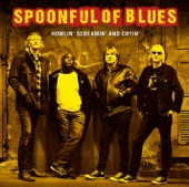 Howlin' Screamin' and Cryin' artwork