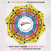 Everybody Loves a Good Funk (The Reflex Revision) artwork