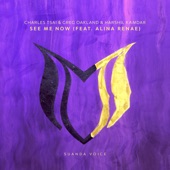 See Me Now (Extended Mix) [feat. Alina Renae] artwork