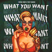 What You Want artwork