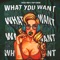 What You Want artwork