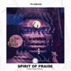 Spirit of Praise - Single