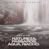 Sons de Natureza,Pássaros,água,Riacho artwork