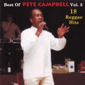 Best of Pete Campbell, Vol. 3: 18 Reggae Hits artwork