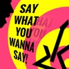 Say What You Wanna Say - Single