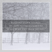 Blizzard Storm Sounds, Relaxing Winter Background, Heavy Wind and Snow Sounds - Nature Sounds