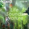 Life Sounds Nature - Aleh Famin lyrics