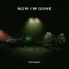 Now I'm Gone - Single