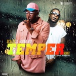 Skales - Temper (feat. Burna Boy)