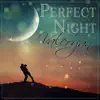 Perfect Night - Single album lyrics, reviews, download