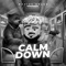 Calm Down (Remix) artwork