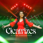 Cicatrizes artwork