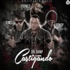 Castigando (feat. Jowell, Franco El Gorila & Randy) - Single