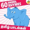 Surmughi - Chinna Chinna Paravai