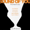 Sound of You (The Remixes), 2012