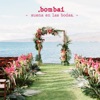 Suena en las Bodas - Single