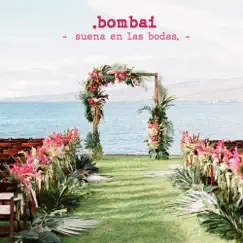 Suena en las Bodas - Single by Bombai album reviews, ratings, credits