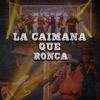 La Caimana Que Ronca (En Vivo) - Single