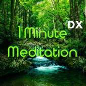 1 Minute Meditation Deluxe ~ Deep Breath Healing & Relaxing Music artwork