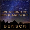 What Kind of Fool Are You? - Single