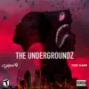 The UndergroundZ - EP album lyrics, reviews, download