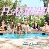 Flamingo - Isn't It Wonderful