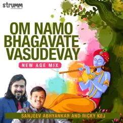 Om Namo Bhagavate Vasudevay (New Age Mix) - Single by Sanjeev Abhyankar & Ricky Kej album reviews, ratings, credits