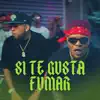 Stream & download Si Te Gusta Fumar - Single