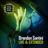 Brandon Santini - Have A Good Time