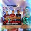 Mezcla Perfecta
