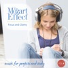 The Mozart Effect - Violin Sonata in F, K. 376: I. Allegro