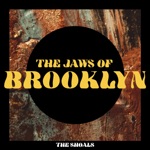 The Jaws of Brooklyn - Fever