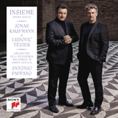 Insieme cover