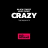 Crazy (feat. Thiwe) [The Remixes] album lyrics, reviews, download