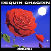 Crush (feat. Anaïs Demoustier) artwork