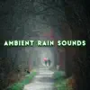 Ambient Rain Sounds - Relax, Meditate, Sleep & Focus album lyrics, reviews, download