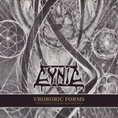 Cynic - The Eagle Nature