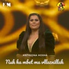 Nuk ka mbet ma vllaznillak - Single